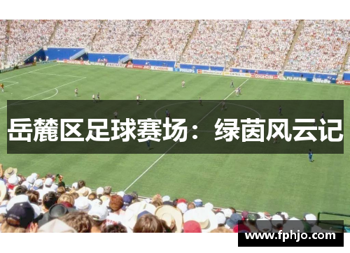 岳麓区足球赛场：绿茵风云记