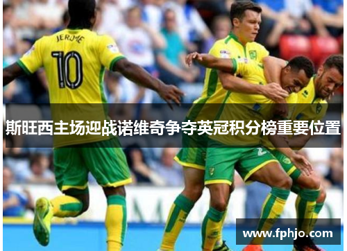 斯旺西主场迎战诺维奇争夺英冠积分榜重要位置
